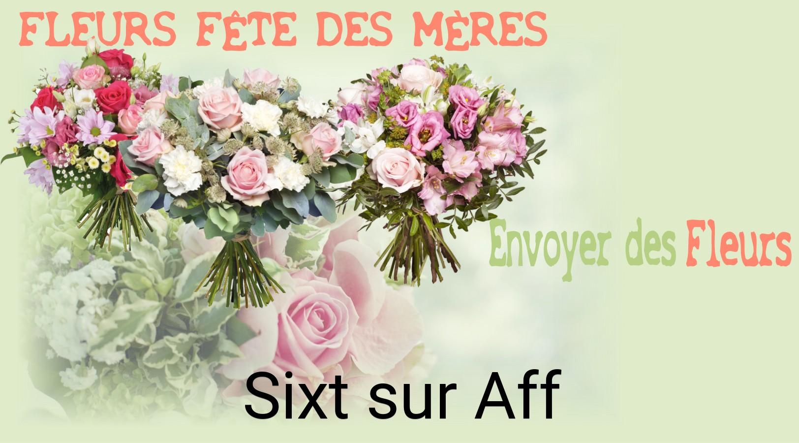 Bouquet de Fête des Mères livré à Sixt-sur-Aff
